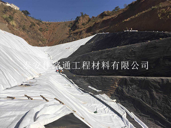 垃圾填埋場(chǎng)防滲膜鋪設(shè)選擇技巧：新穎視角下的考量