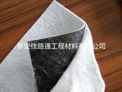 創(chuàng)新守護，防滲土工膜的全方位保護策略