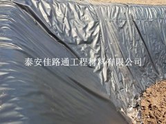 沼氣池防滲膜吹塑工藝：創(chuàng)新之路，守護綠色能