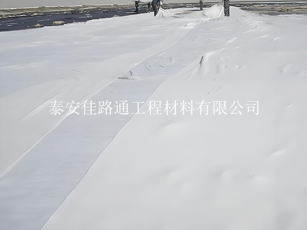如何選擇長(zhǎng)絲土工布廠家:一份簡(jiǎn)明指南 如何選擇長(zhǎng)絲土工布廠家:一份簡(jiǎn)明指南