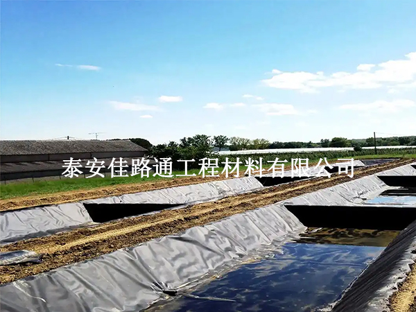 魚塘防滲土工膜：魚兒成長的雙刃劍？