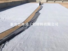 膨潤(rùn)土防水毯施工注意事項(xiàng)：細(xì)致入微，確保無(wú)