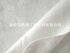 丙綸土工布未來(lái)發(fā)展趨勢(shì)：創(chuàng)新與環(huán)保的雙輪驅(qū)