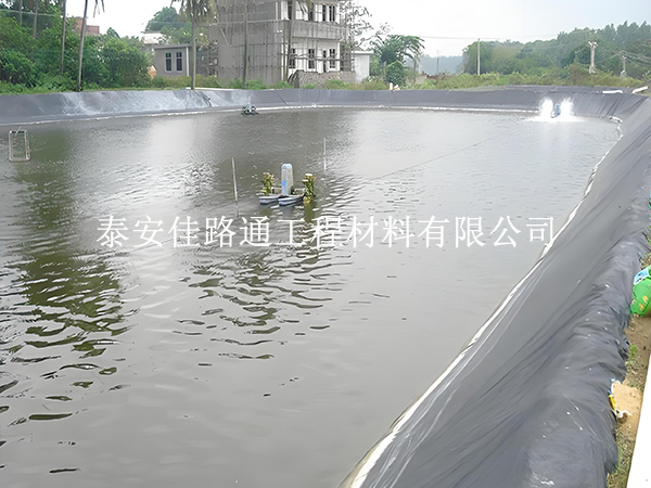 魚蝦養(yǎng)殖防滲膜選黑還是白？掌握這些原則不選錯