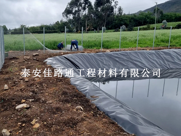 養(yǎng)殖防滲膜在養(yǎng)豬場污水處理中的核心作用：防滲護境，助力養(yǎng)殖合規(guī)